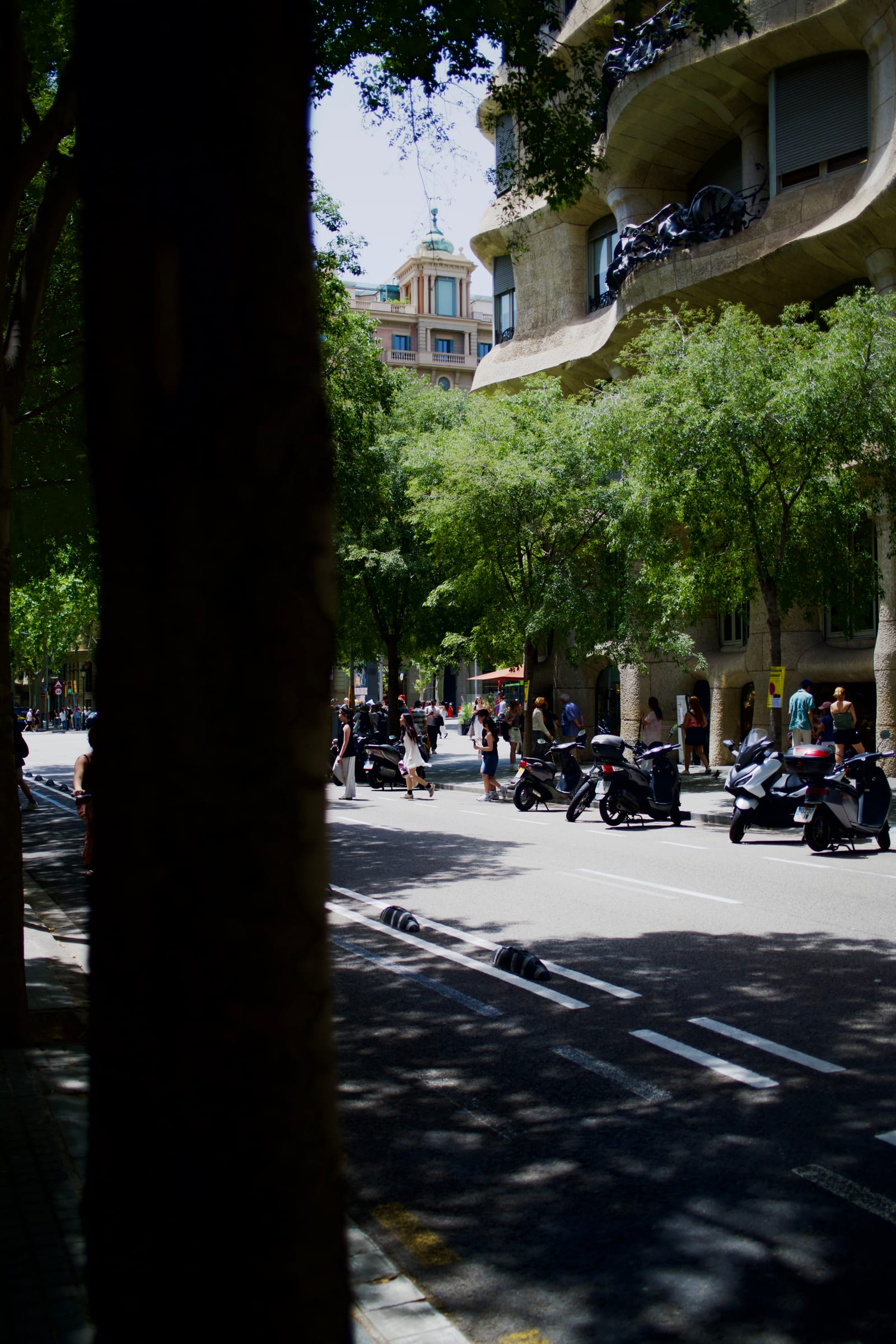 Photograph 7