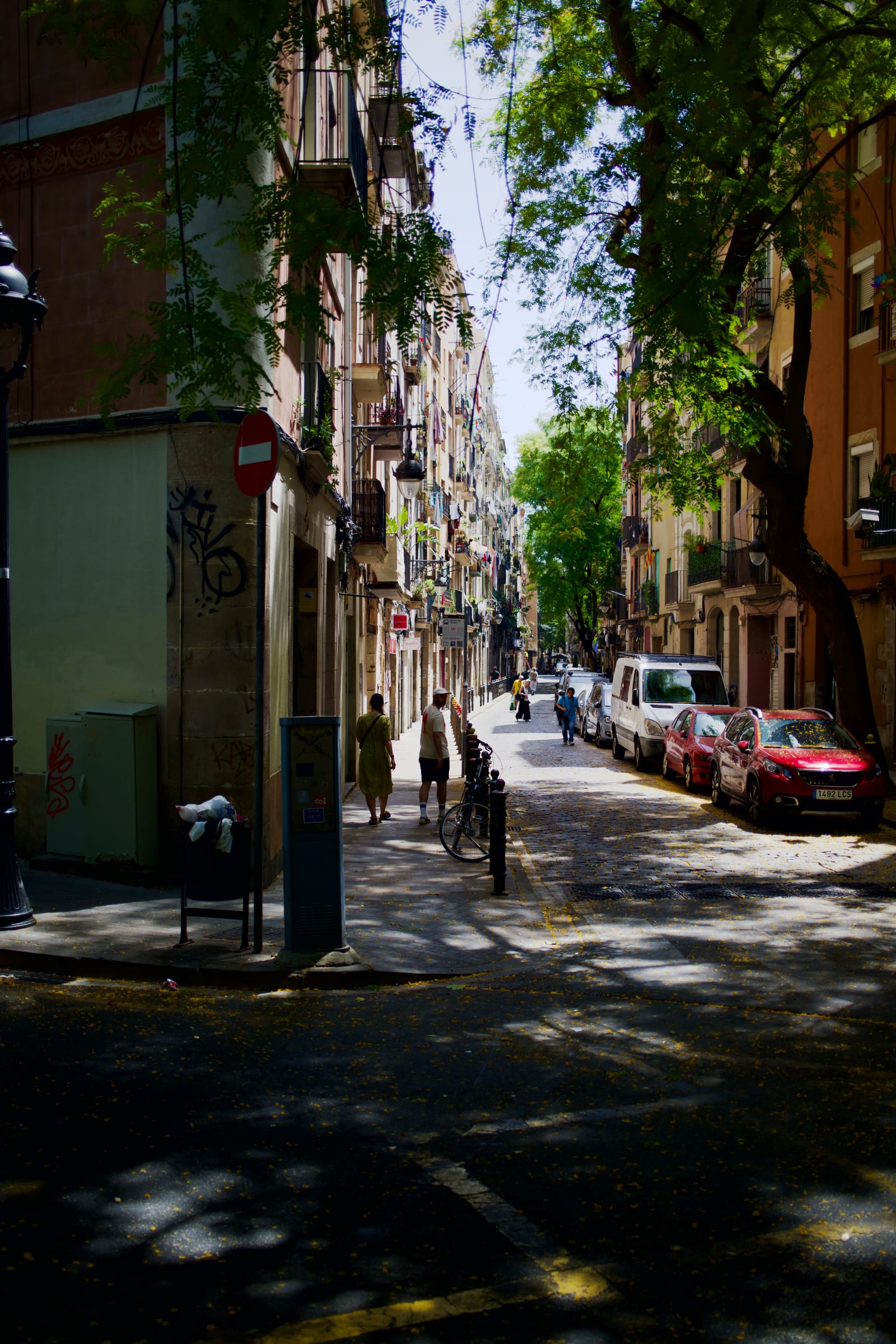 Photograph 8