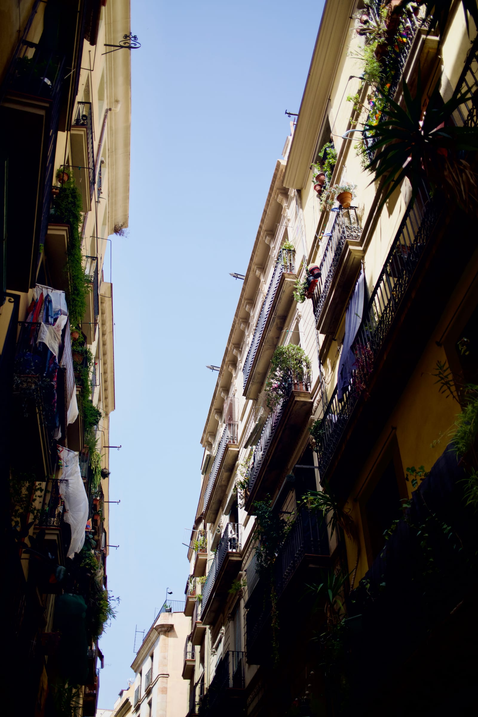 Photograph 9