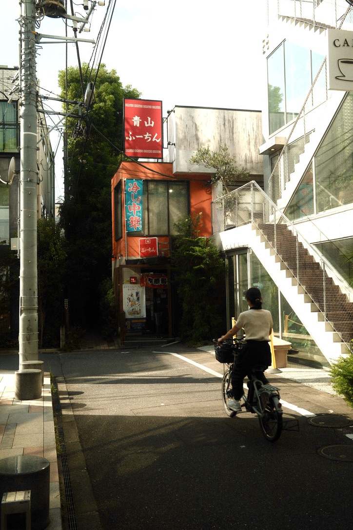 Photograph 7
