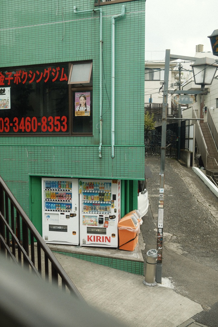 Photograph 11