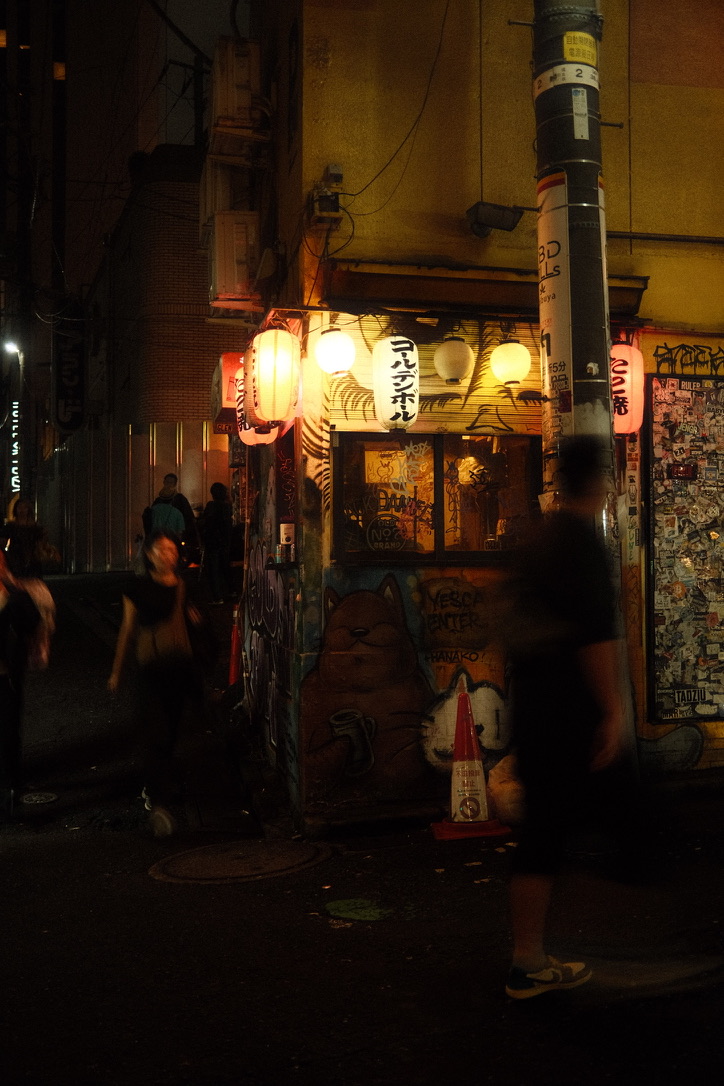 Photograph 16