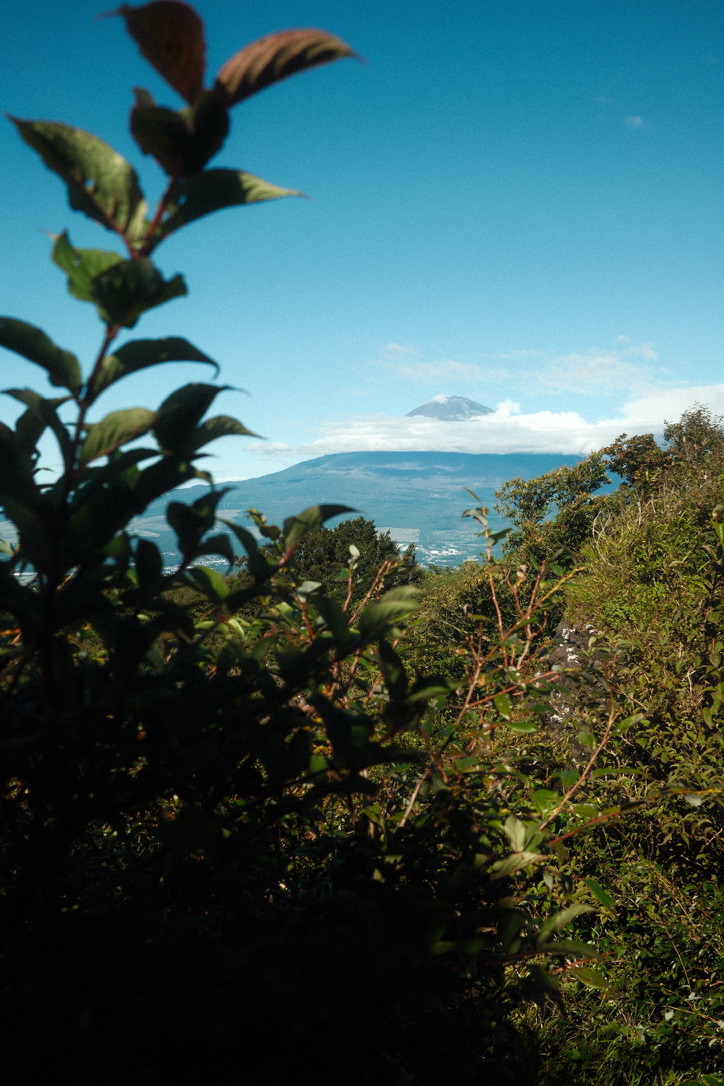 Photograph 26