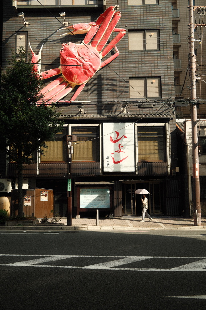 Photograph 38
