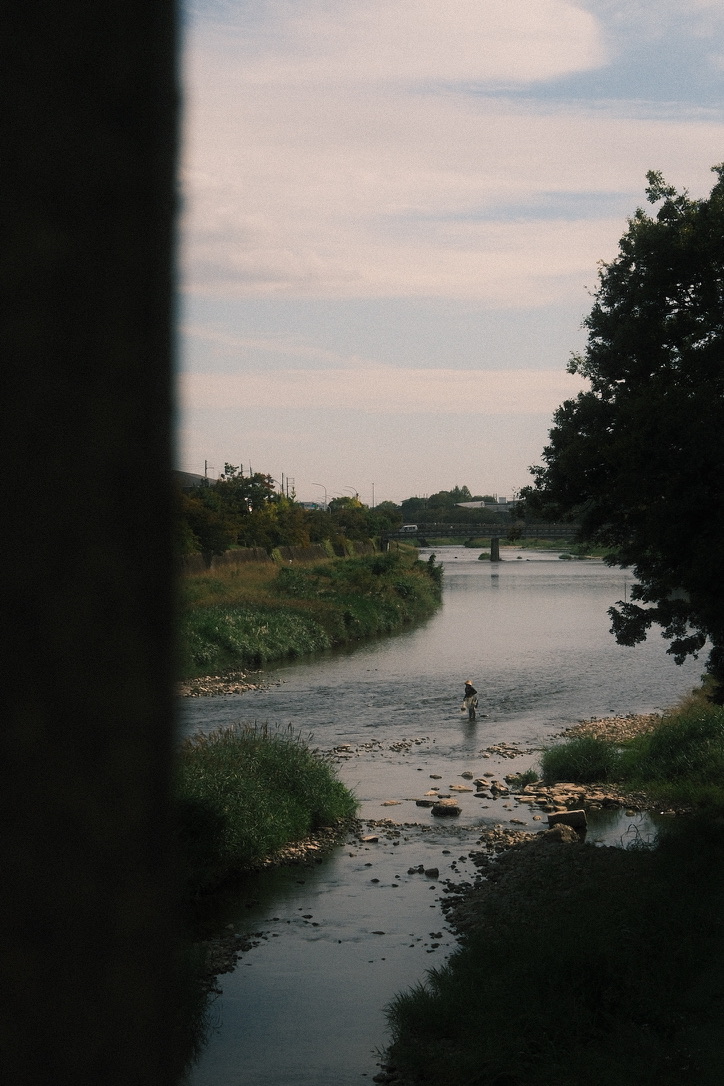 Photograph 42