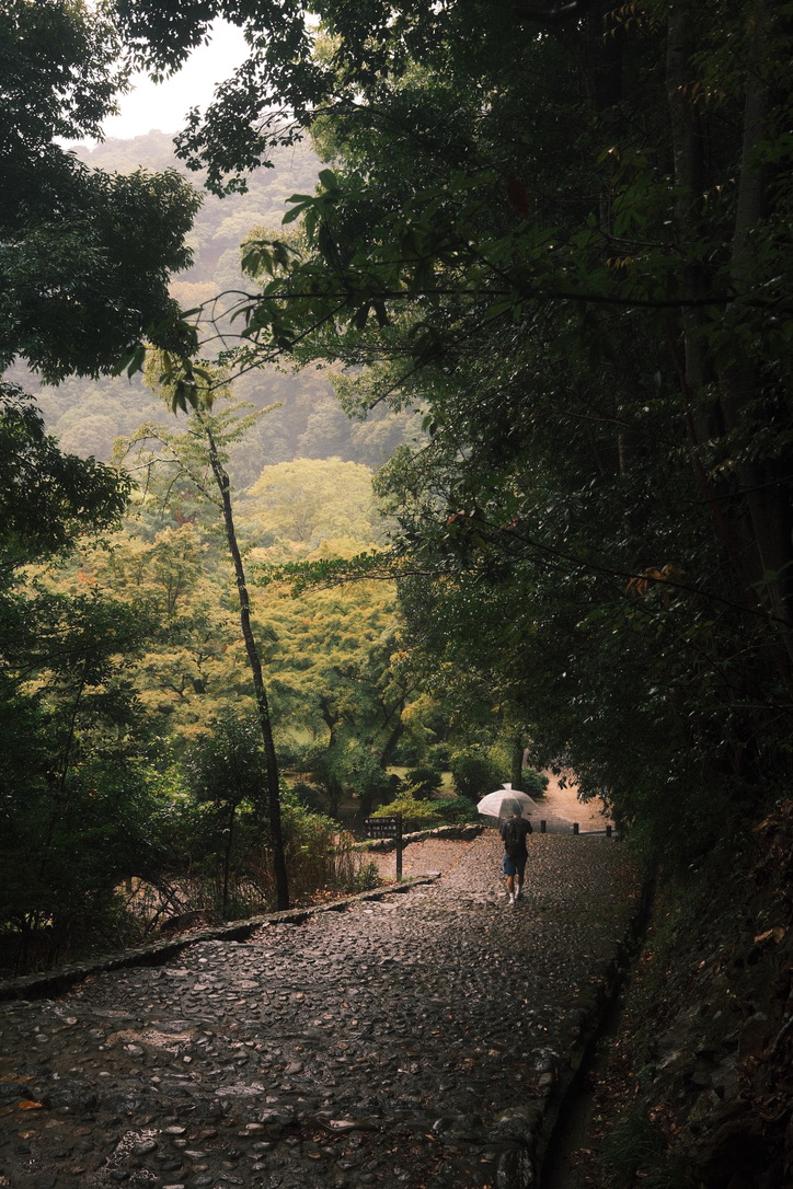 Photograph 48