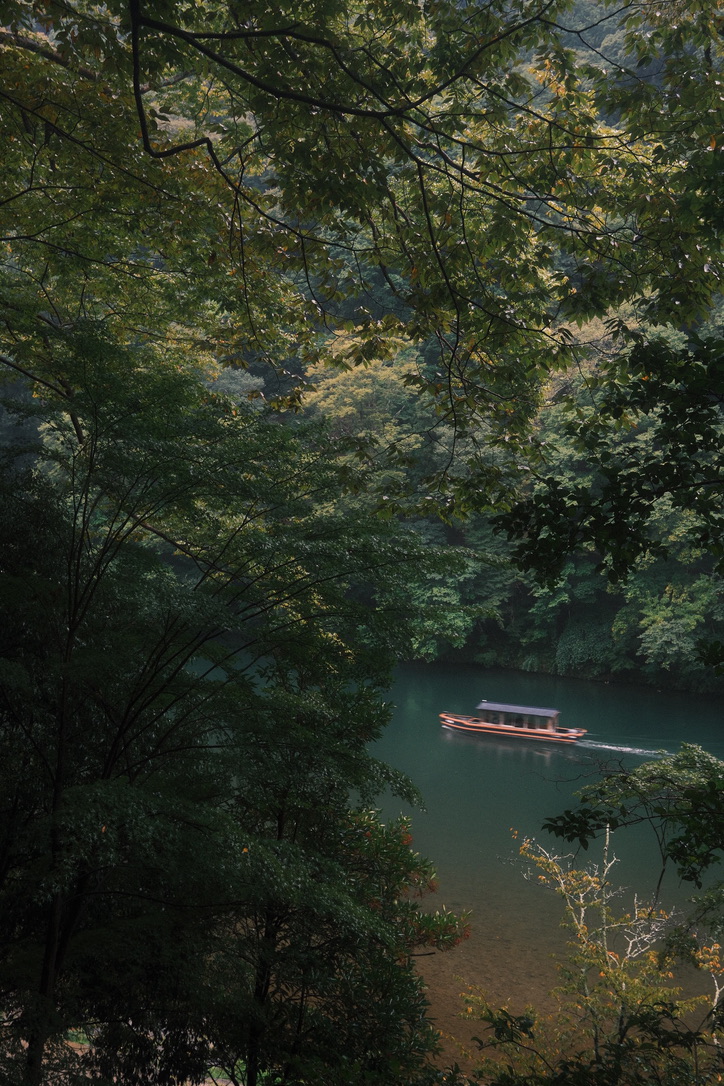 Photograph 49