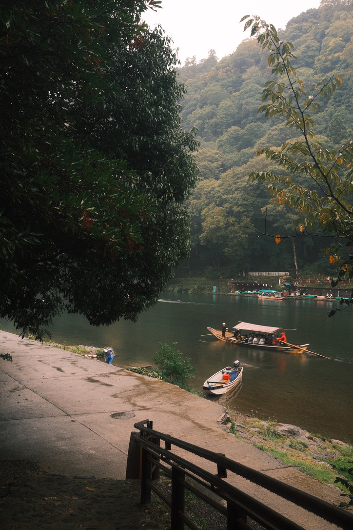 Photograph 50