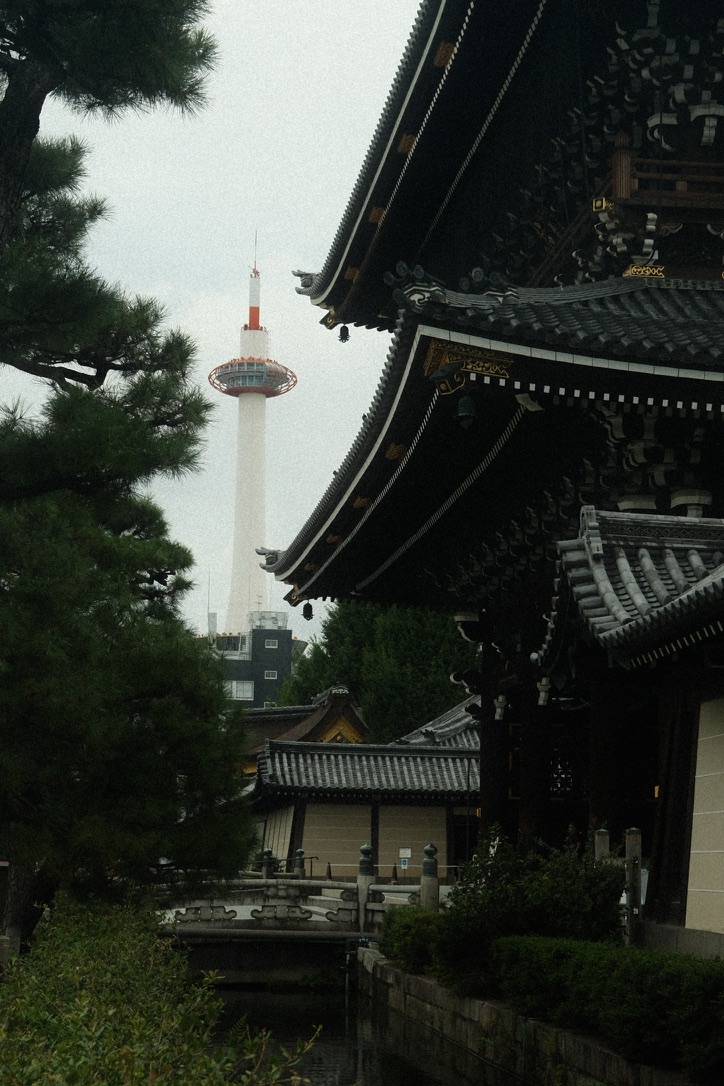 Photograph 55