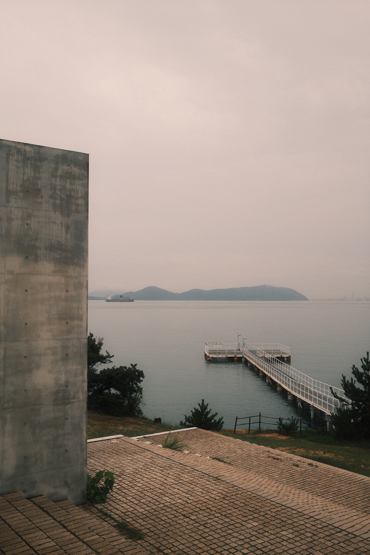 Photograph 62