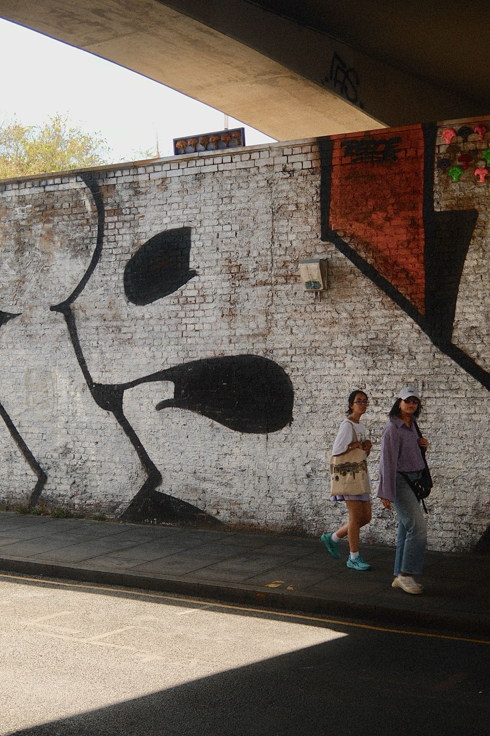 Photograph 12