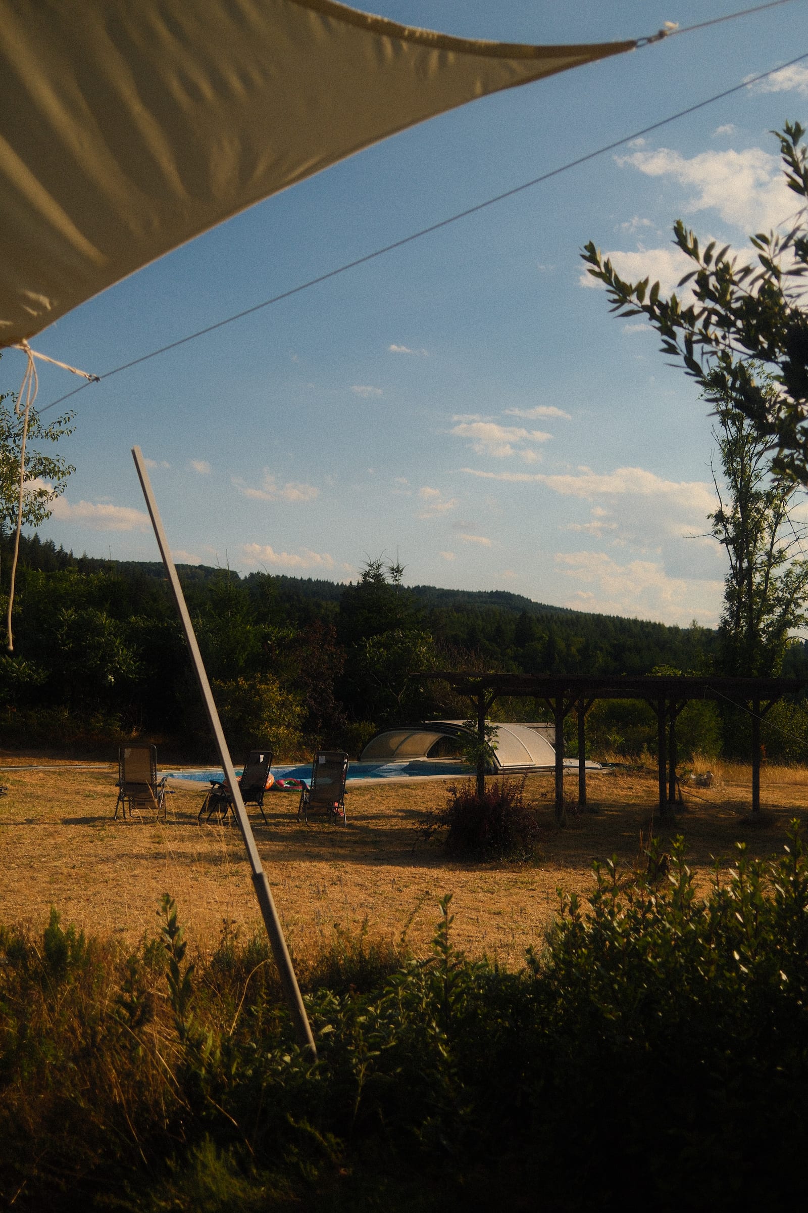 Photograph 5